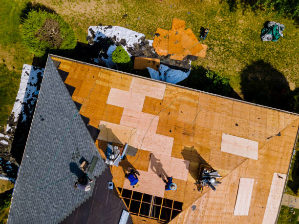 Best Residential Roofing Contractor  in Haubstadt, IN