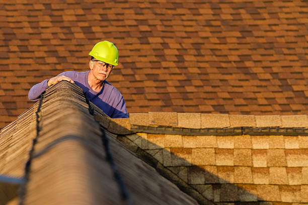 Best Roof Maintenance Services  in Haubstadt, IN